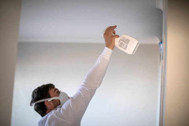 Best Mold Testing  in Henderson, TX