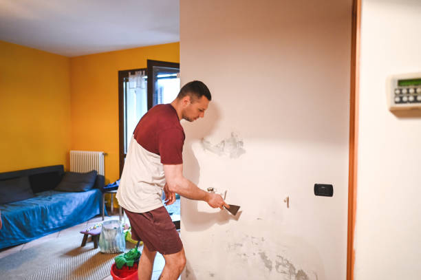 Best Mold Remediation Experts  in Henderson, TX