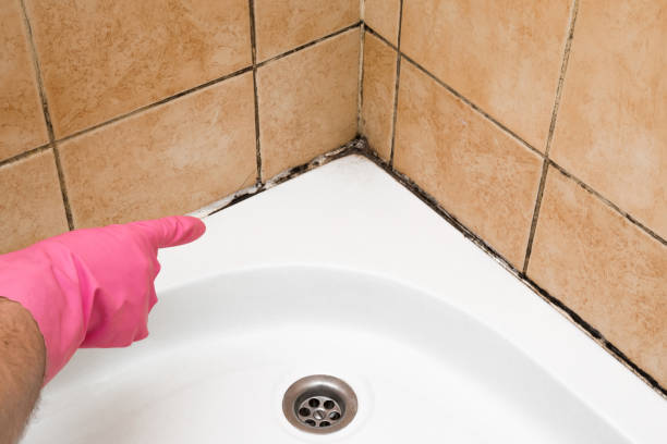 Best Mold Cleaning Services  in Henderson, TX